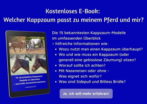 Kostenloses E-Book: Der richtige Kappzaum für mich und mein Pferd